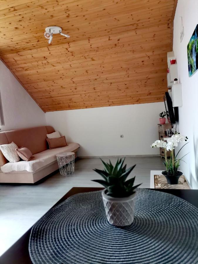 Apartment Dolores Smoljanac Extérieur photo